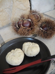 Gathering the Chestnuts