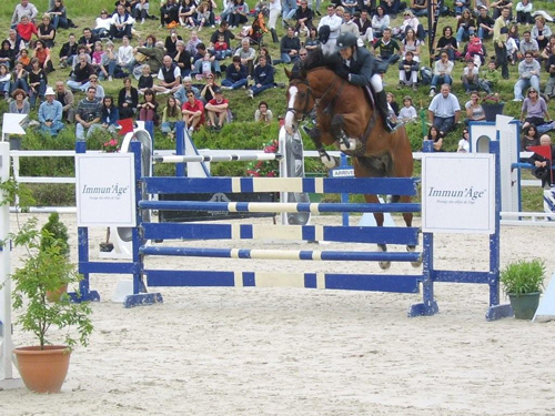 International Jumping Competition